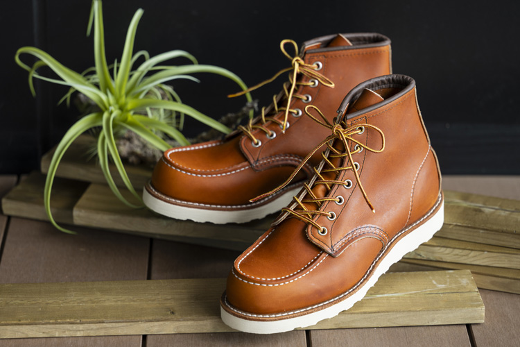 MICHEL BELIN ESSENTIEL画像