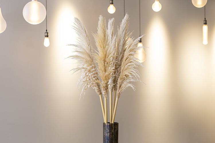 Rust Sakae店 パンパスグラス画像