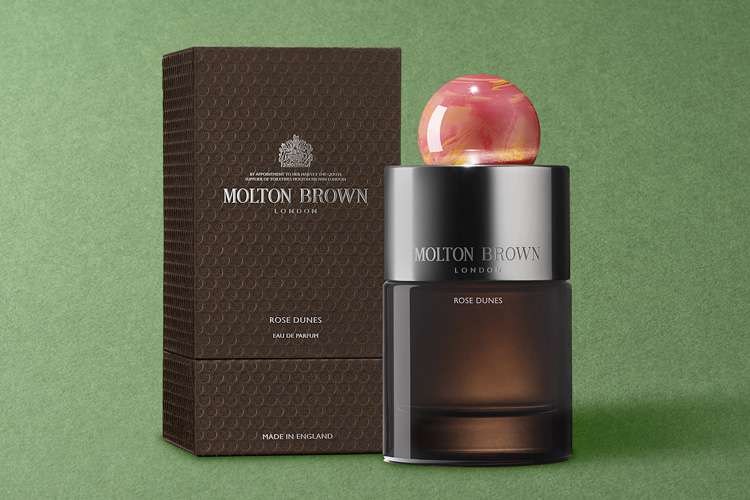 モルトンブラウン画像