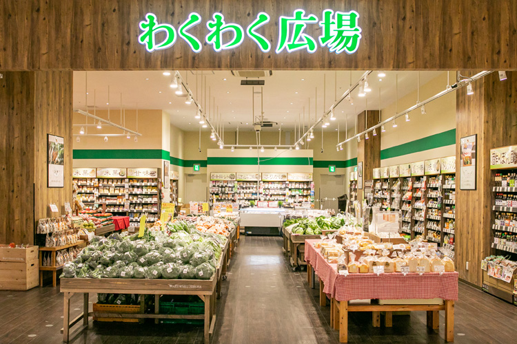 わくわく広場画像